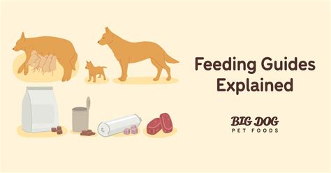 Feeding Guides Explained - Guides | Big Dog Pet Foods