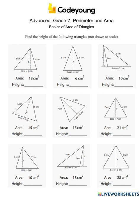 Basics Of Area Of Triangles Advanced Worksheet Live Worksheets