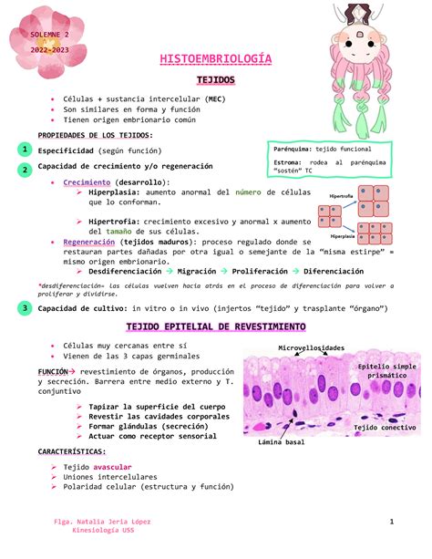 Solemne 2 Histoembriología Flga Natalia Jeria López 1