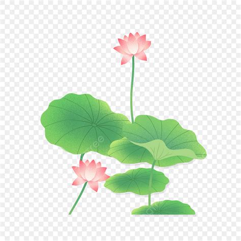 Fresh Wind Hd Transparent Green Fresh Wind Lotus Transparent Material