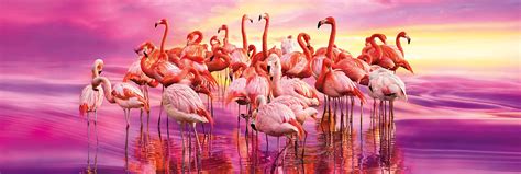 Flamingo Dance 1000 Pieces Clementoni Puzzle Warehouse