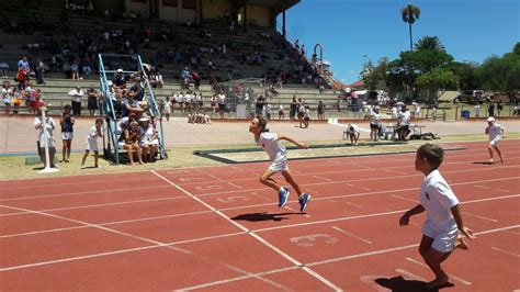 Athletics at the Oval - Firefly the Travel Guy