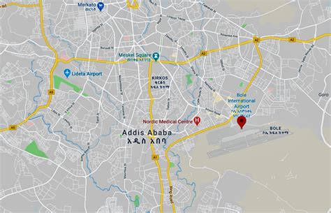 Addis Ababa Bole International Airport