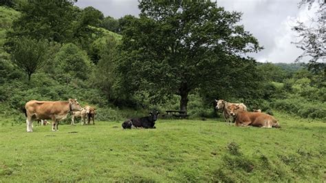 Cantabria destina más de un millón de euros a pagos por servicios