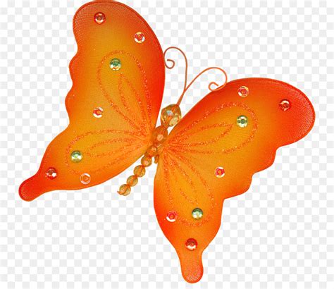 Farfalla Arancione Insetto Clip Art Farfalla Arancione Scaricare Png