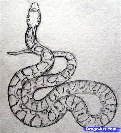 A Drawing Of A Snake On White Paper