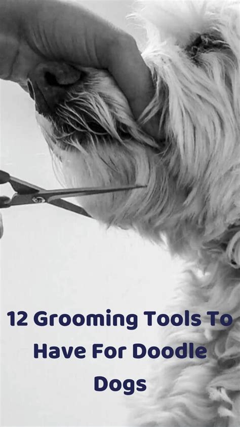 12 diy doodle grooming tools – Artofit