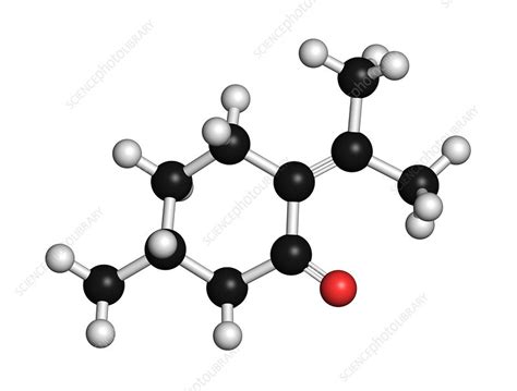 Pulegone Molecule Illustration Stock Image F032 9827 Science