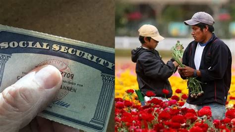 Pagar La Renta O Comer La Encrucijada De Los Desempleados Por La