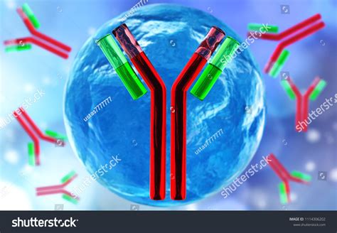 Antibodies Immunoglobulins Immune System 3d Rendering Stock