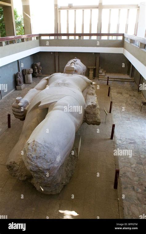 Colossus Of Ramesses Ii Within The Museum At The Remains Of Memphis In