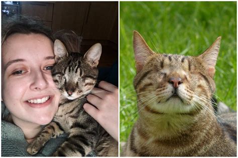 Blind Cat Who Had Both Eyes Removed Captures the Hearts of Millions in ...