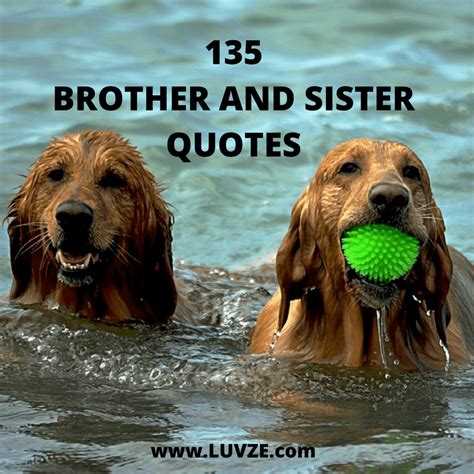 Funny Little Brother Quotes From Sister