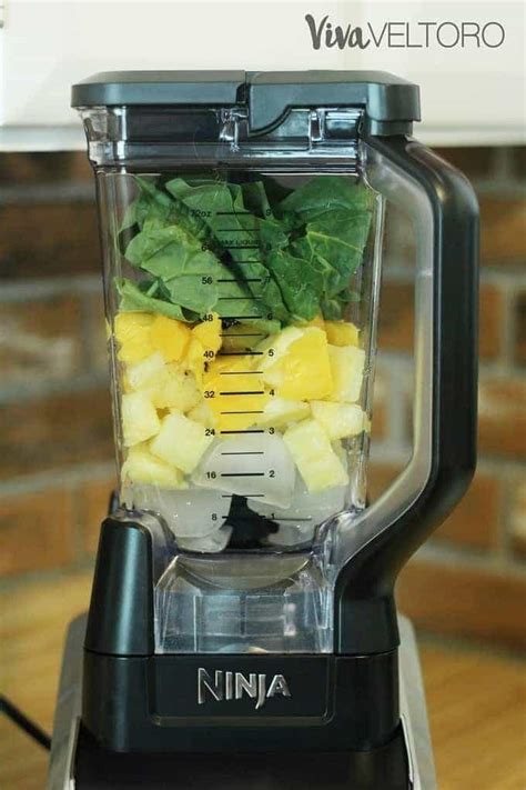 Ninja Blender Healthy Smoothie Recipes Dandk Organizer