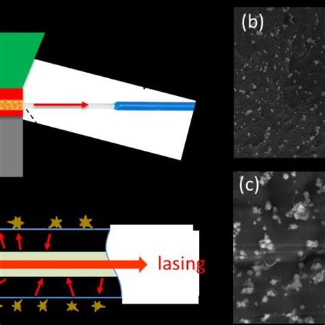 Nanostar Integrated Single Mode Fiber For Random Lasing A Schematic