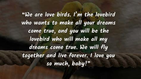 2025 Love Birds Quotes To Say "we Are Love Birds"