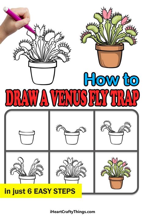 How To Draw A Venus Fly Trap