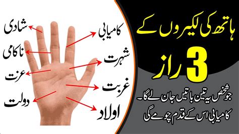 Hand Lines Meaning In Palmistry Hath Ki Lakeer Palm Reveal Video In