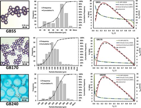 Estimation Of Capillaryassociated Naplwater Interfacial Areas For