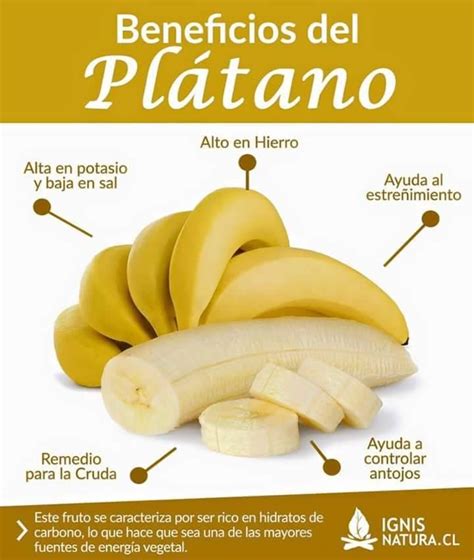 Beneficios Del Platano O Cambur Gezond Salud Di Ten