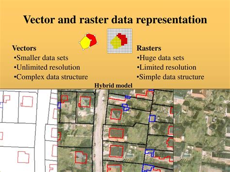 Difference Between A Vector And Raster In Gis Donbasic