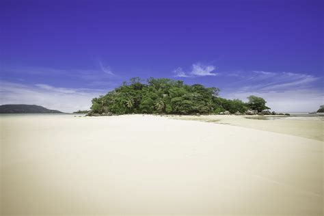 Round Island in The Seychelles | Seychelles Islands