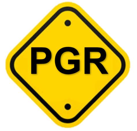 Pgr Programa De Gerenciamento De Risco Pgr Nr 1 T2lg