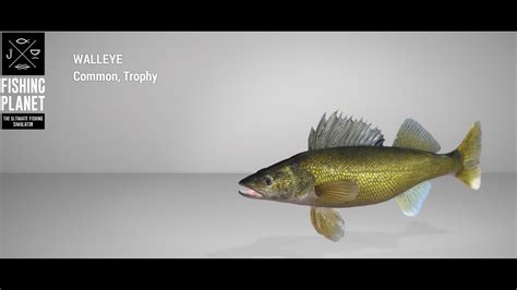 Fishing Planet Emerald Lake Trophy Walleye Spin YouTube