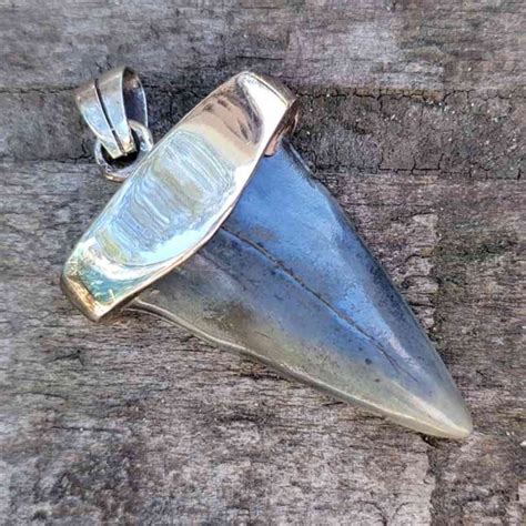 Silver Plated Extinct Great White Shark Tooth Pendants