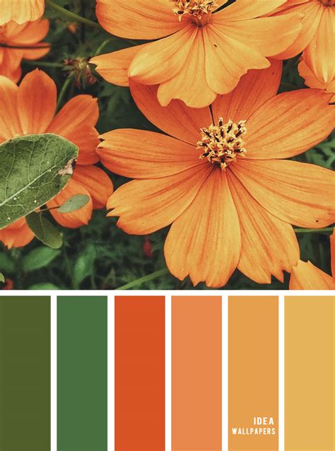 Color inspiration : Marigold and green color palette