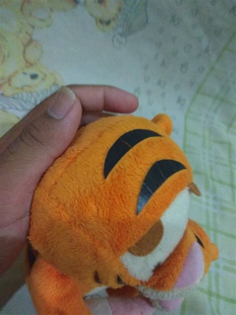 Boneka Tigers Winnie The Pooh On Carousell