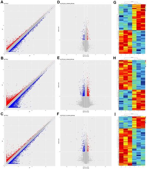 Expression Profiles Of Circrnas Lncrnas And Mrnas In Prefrontal Cortex