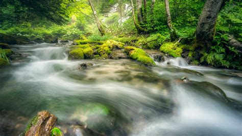 Hintergrundbilder Wald Wasserfall Wasser Natur Moos Fluss