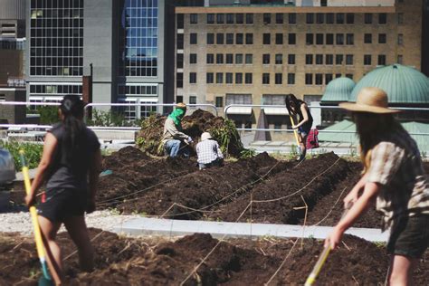 Ryerson Urban Farm Formerly Ryes Homegrown