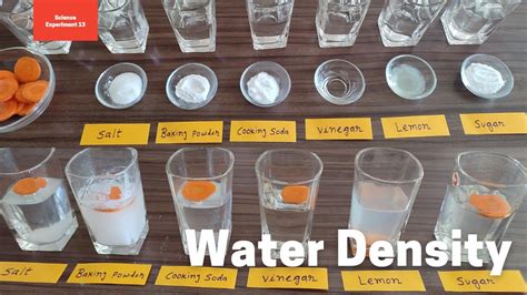 Water Density Science Experiment Water Density Changes When Other