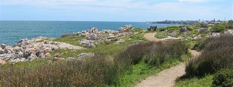 Activities In And Around Hermanus Nantucket Guest House