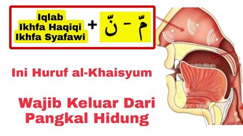 Pahami Huruf Al Khaisyum Huruf Pangkal Hidung Agar Bisa Bedakan Mana