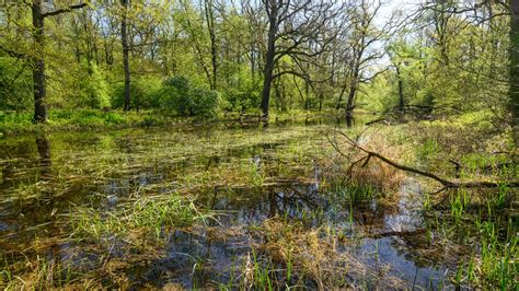 Bund F R Umwelt Und Naturschutz Deutschland