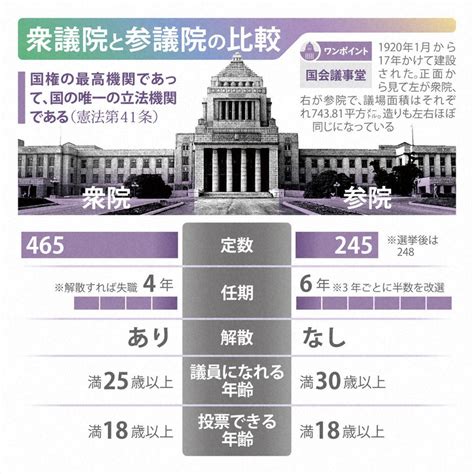 図解でわかる！参院選2022 [写真特集1 12] 毎日新聞