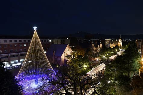 同志社大学今出川校地 クリスマス・イルミネーション 京都市上京区の画像詳細3枚目｜イルミネーションガイド2024 2025