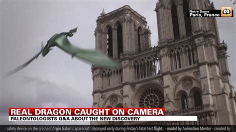 Real Dragon Caught On Camera Youtube