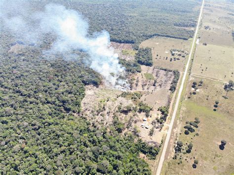 Terras Indígenas Preservadas Há Mais De 10 Anos Aparecem No Mapa Do