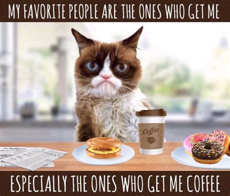 Pin By Ariana Wilson On Stuff Funny Grumpy Cat Memes Grumpy Cat Humor Grumpy Cat Quotes