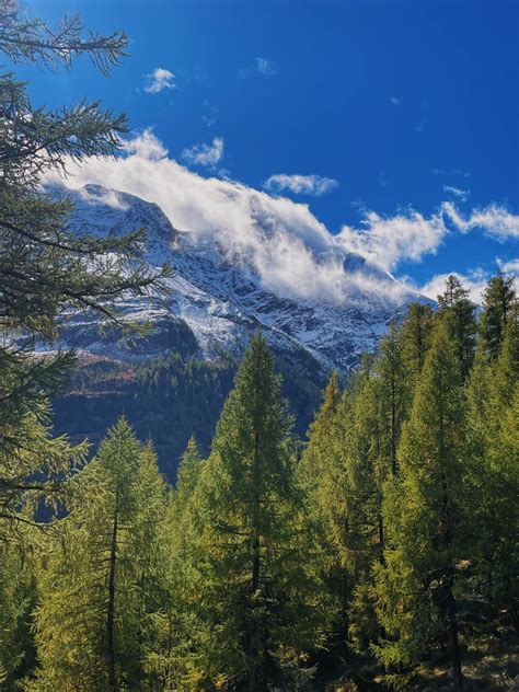 Hiking in Mürren, Switzerland last month. : r/hiking