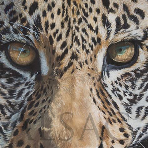 regard leopard realiste peinture animaliere Stéphane Alsac