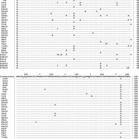 Phylogenetic Analysis Of Individual Hcv Quasispecies Representative