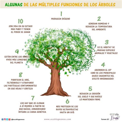 3 increíbles proyectos de reforestación tips para ahorrar papel