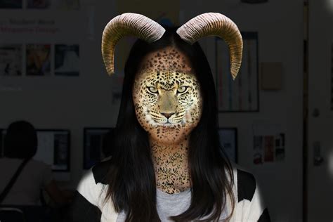 Morphing animals – Portfolio