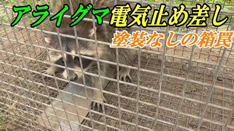 アライグマ電気止め差し 塗装なし箱罠編 Youtube