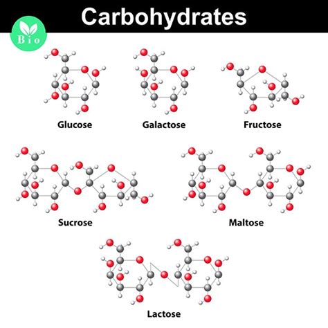 Glucose Molecule Structure